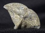 Paraspirifer bownockeri (STEWART 1927) - Bild &copy; FossNet FossilienStore